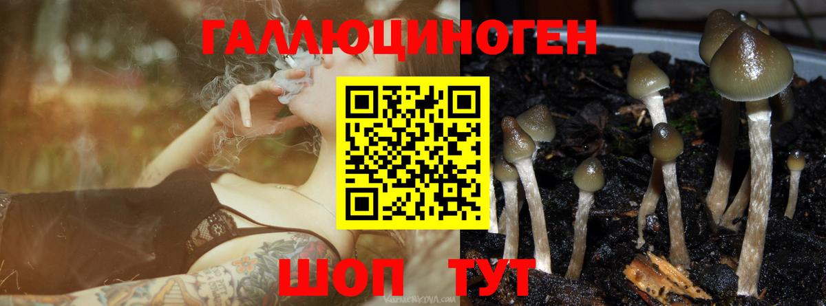 Псилоцибиновые грибы ЛСД Кириши