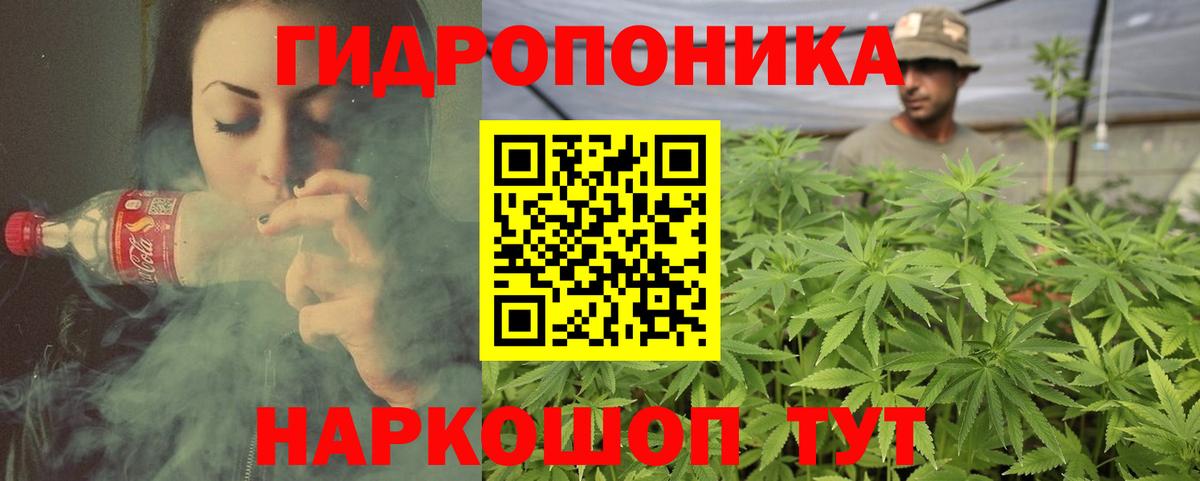 Шишки марихуана план  Марихуана Bruce Banner  Кириши  Каннабис Amnesia  МАРИХУАНА SATIVA & INDICA  Вход с VPN 